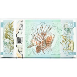 PWPW, Coral - winged fish 2023, in album