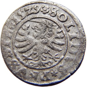 Zygmunt I Stary, szeląg ziem pruskich 1529 PRVS, Toruń BARDZO ŁADNY