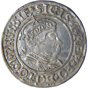 Sigismund I the Old, penny of the Prussian lands 1535, Toruń RARE BEAUTY