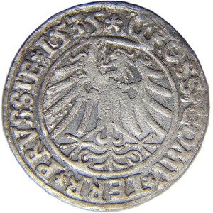 Sigismund I the Old, penny of the Prussian lands 1535, Toruń RARE BEAUTY