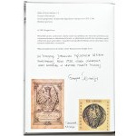 G. Romanczyk, Głogów and Cracow pennies of Sigismund I the Old from the years 1505-1548 - a jubilee piece with author