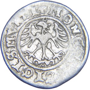 Sigismund I the Old, crown half-penny 1511, Cracow