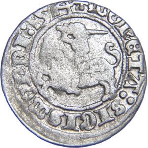 Sigismund I the Old, Lithuanian half-penny 1514, Vilnius