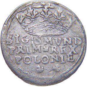 Zikmund I. Starý, korunní groš 1545, Krakov ILUSTROVÁNO