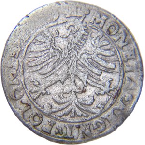 Zikmund I. Starý, korunní groš 1545, Krakov ILUSTROVÁNO