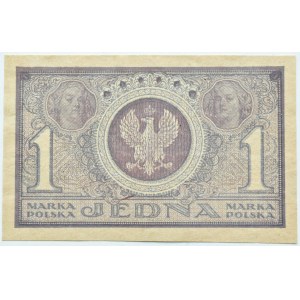 Second Polish Republic, 1 mark 1919, ICW series