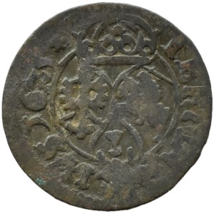 Sigismund III. Wasa, Dreiermünze von 1625, Łobżenica, SELTEN
