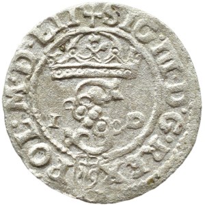 Sigismund III Vasa, Crown Szeląg 1588 ID, Olkusz