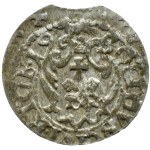 Zikmund III. Vasa, šeląg z roku 1619, liška směřující doleva, Riga