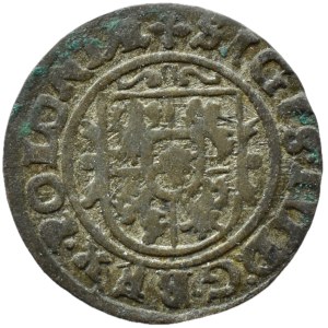 Sigismondo III Vasa, szeląg del 1626 (2-6), Bydgoszcz PRIMO TIPO DI CORONA