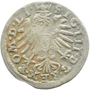 Sigismund III Vasa, grosz, 1609 LI/LI, Vilnius, ROSETTE
