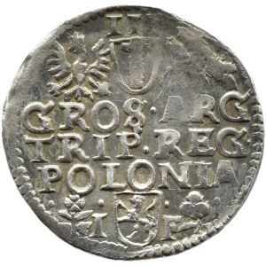 Zygmunt III. Vasa, trojak z roku 1596, Wschowa