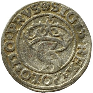 Sigismondo I il Vecchio, scellino delle terre prussiane 1529 PRVS, Toruń