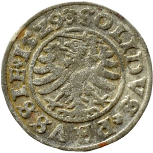 Sigismondo I il Vecchio, scellino delle terre prussiane 1529 PRVS, Toruń