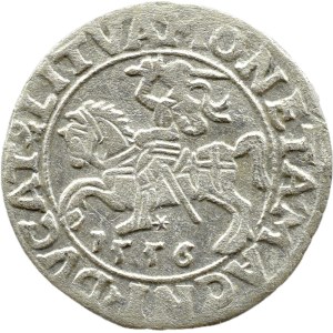 Sigismondo II Augusto, mezzo grosz del 1556, Vilnius, LITVA/LI