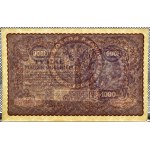 II RP, 1000 marek 1919, I seria BM - typ 7, PIĘKNE