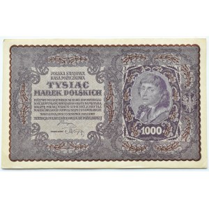 II RP, 1000 marek 1919, I serja BM - typ 7, PIĘKNE!