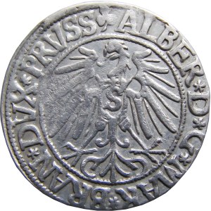 Prusy Książęce, Albrecht, grosz pruski 1543, Królewiec