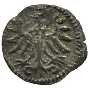 Zygmunt II August, denar 1554, Gdańsk PIĘKNY