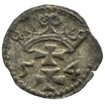 Zygmunt II August, denar 1554, Gdańsk PIĘKNY