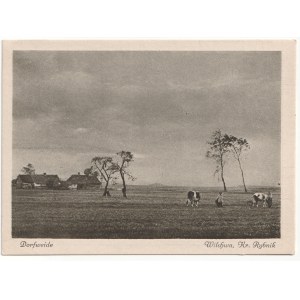 FISHER Pasture