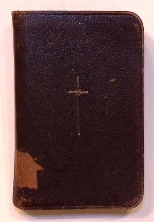 Joseph KAMOCKA - Hail Mary. A devotion for the young