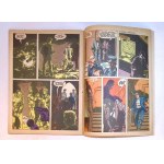 [KAPITAN ŻBIK nr: 22] Gotycka komnata [I wydanie] 1971