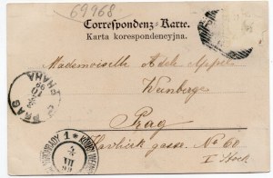 [Postcard] Przemyśl. Greetings (Gruss aus Przemyśl). View from the Castle [1899].