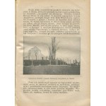 Kalendarz Gazety Porannej 2 Grosze na 1917 rok (wraz z informatorem firm chrześcijańskich) [1916]