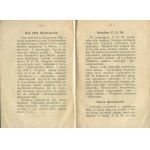ŚWIERCZEWSKI Eugeniusz - P.O.W. na Litwie [Wilno 1919]