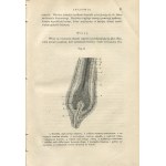 NEUMANN Isidor - Nauka o chorobach skóry (dermatologia) [1870]