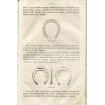 SZTOLL J. (Штолль Ю.) - Practical shoeing of horses (Практическое кование лошадей) [St. Petersburg 1870].