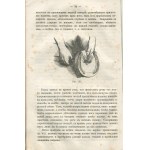 SZTOLL J. (Штолль Ю.) - Practical shoeing of horses (Практическое кование лошадей) [St. Petersburg 1870].