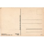 [zestaw 2 pocztówek reklamowych] Propidex. Biedna Miki! Na twój wrzodek - Propidex - cudowny środek; Gdy na buzi masz pryszczyki - Propidex ci niesie Miki [ok. 1930]