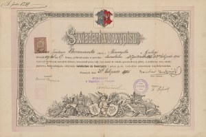 Certificate of discharge of Lukasz Tadeusz Chrzanowski, a native of Przemyśl, trained as a locksmith [Przemyśl 1905].