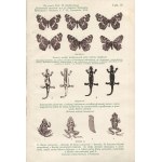 Akademickie wykłady rolnicze Wydziału Doświadczalno-Naukowego Centralnego Towarzystwa Rolniczego. Tom II. Wygłoszone w lutym 1912 r. w Warszawie [1913]