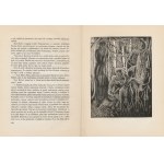 CERVANTES Miguel de - Przedziwny Hidalgo Don Kichot z Manczy. Powieść [1932] [il. Stefan Mrożewski]