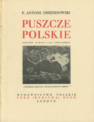 OSSENDOWSKI Ferdynand Antoni - Puszcze polskie [London 1953].