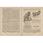 Przyroda i przemysł. Tygodnik popularno-naukowy, poświęcony rozpowszechnianiu nauk przyrodniczych i ich zastosowań do przemysłu [kompletny rocznik 1872]