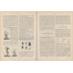 Przyroda i przemysł. Tygodnik popularno-naukowy, poświęcony rozpowszechnianiu nauk przyrodniczych i ich zastosowań do przemysłu [kompletny rocznik 1872]