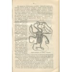 CLAUS Carl - Podręcznik zoologii dla wyższych uczelni (Учебникъ зоологіи. Для высшихъ учебныхъ заведений) [Odessa 1888]