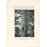 BLANK-WEISSEBERG Stefan - Barts and logs in Poland [1937] [DEDICATION].