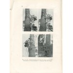 BLANK-WEISSEBERG Stefan - Barts and logs in Poland [1937] [DEDICATION].
