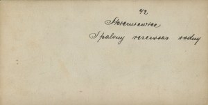 [Stereoscopic photography] Skierniewice. Burnt water reservoir [World War I].