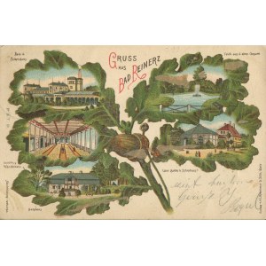 [Postcard] Duszniki-Zdrój. Greetings (Gruss aus Bad Reinerz) [1902].
