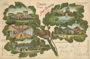 [Postcard] Duszniki-Zdrój. Greetings (Gruss aus Bad Reinerz) [1902].