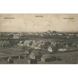 [pocztówka] Siedlce. Ogólny widok