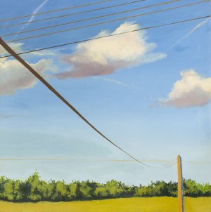 CIEŃSKI MARCIN, Sierpień - miotełka, 2003