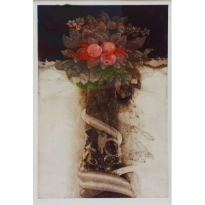 Eva Hašková, Bez tytułu (edycja 45/100), 1989