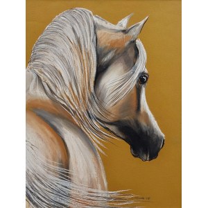 S.Tlenda, Young horse, 2008